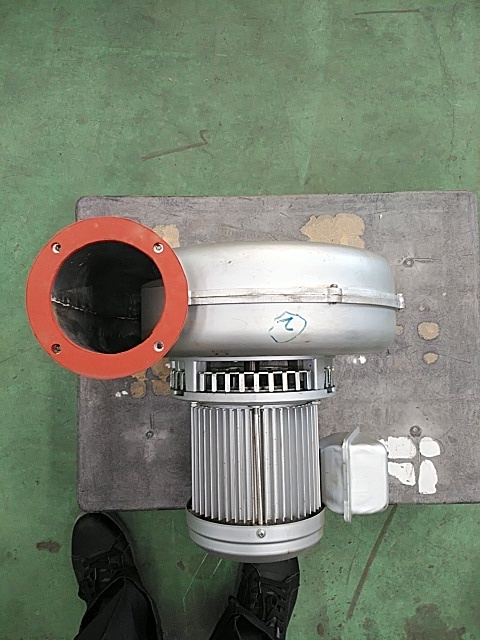 昭和電機 ブロワー EC-100THT-R213