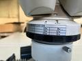 ニコン(Nikon) 実体顕微鏡 SMZ