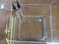  石英製水槽 