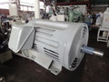 東芝 18.5kw標準横型モーター TIKK-DCK21-160L
