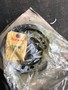 豊和 油圧チャック HO27M6