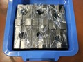 不明 生爪 -