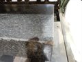大西測定工具製作所 石定盤 450×300×100mm　一部欠けあり