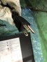 オムロン/OMRON 無停電電源装置 BXシリーズ BX35F
