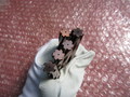 三洋工具SANYO TOOL 超硬リーマ　5個 Y0932-15460
