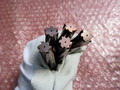 三洋工具SANYO TOOL 超硬リーマ　5個 Y0932-15460