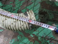 AIKOKU-KIKAI オイルミスト AMZ-10WD1SP(200V)