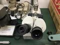 ニコン(Nikon) 実体顕微鏡 
